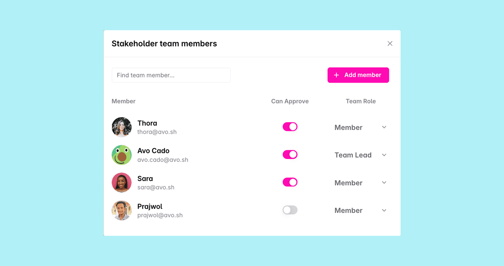 Stakeholder team members